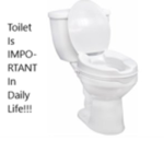 Toilet Is IMPORTANT In Daily Life!!!