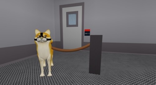 Dog Pound