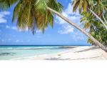 Beach Roleplay!
