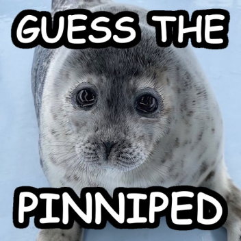 Guess The Pinniped