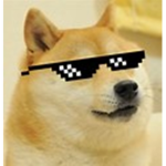 Doge take over with ducks to help