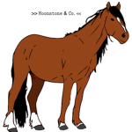 >> Moonstone & Co. Equine Architecture <<