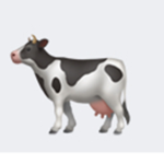 Cow Group :)))