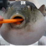 smilefish