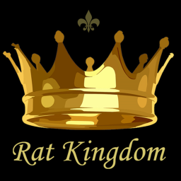 Rat kingdom!
