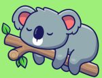 Koala’s Closet Club