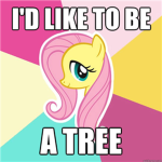 Ƹ̵̡Ӝ̵̨̄Ʒ Team Fluttershy Ƹ̵̡Ӝ̵̨̄Ʒ