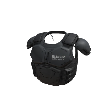 Elixir Security