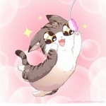 The cute kitty cat group