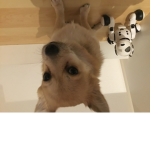 Helloworldpablo