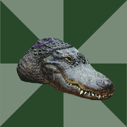 [CAMP UPDATE!] Home (Alligators)