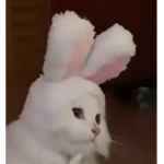 monekrwuer