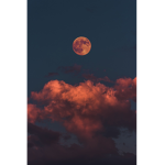 Tʜᴇ ᴍᴏᴏɴ~