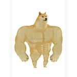 DOGG BOIS (official)