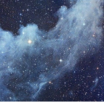 Wings of Fire;Talons United