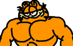 FAZA!!!!!!!!!!!