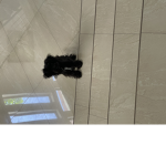 Robux groupe Teen princess2
