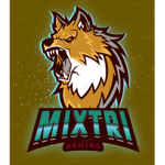 Mixtri TEAM