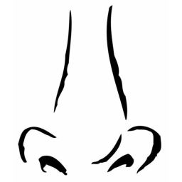 Meet: The Good Nose Gang