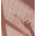Loz シ