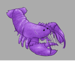 Purple Lobster Studio