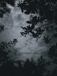 shadylightning