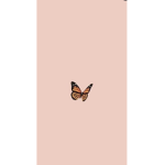 LovelyXbutterfly