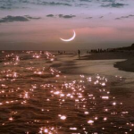 _+*S U P E R N O V A*+_