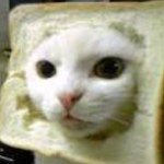 Kate cats