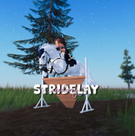 stridelay academy !!