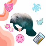 Preppy_Avocados