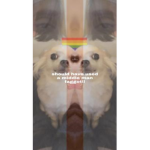 Furry_friends_UwU