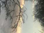 SOS(ShootOnSite)