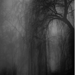 The Willow Lake Cult