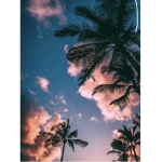 Sunset girly’s