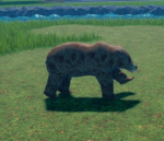 SIeepy bears