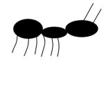 Ant Colony Official