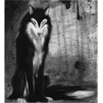 Silent Wolves Pack