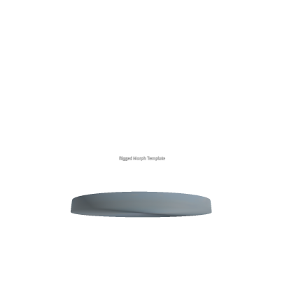 Rigged Morph Template
