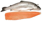 salmon gang