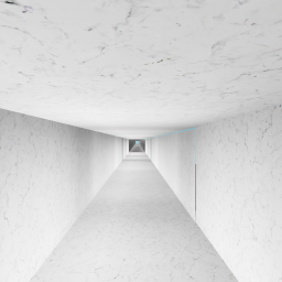 the secret maze