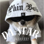 Da$tar