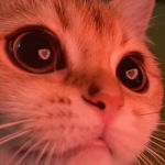 Xzisaw