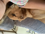 Hallie awesome doggy