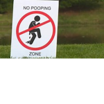 No pooping zone