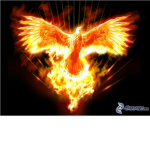 Fire Phoenix Inc.