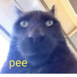 Aesthetic Memes Clothing