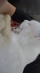 m00n mushr00ms <3