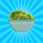 bowl of moss