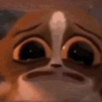 don’t ask why this is here